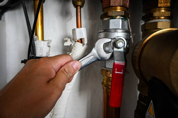 Best Clogged Drain Plumber  in Kenhorst, PA